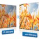 SAXXON AN5535B1 – Pantalla  LED de 55 pulgadas para video wall /  1080p / Marco ultra delgado 3.5 mm / Brillo 500 CD / M2 / PIP